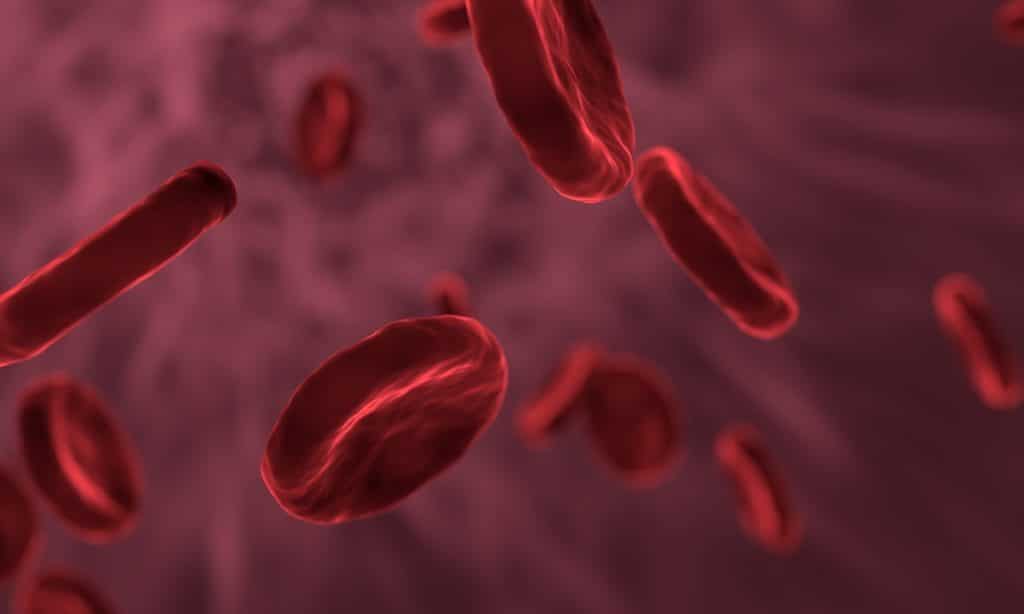 red blood cells 3188223 1280 1024x614