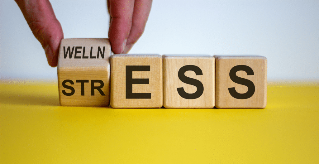 Stress and Wellness Vein Health 1024x526