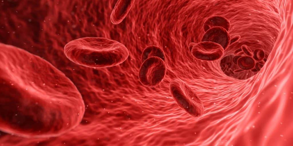 Vein Disease 1024x512