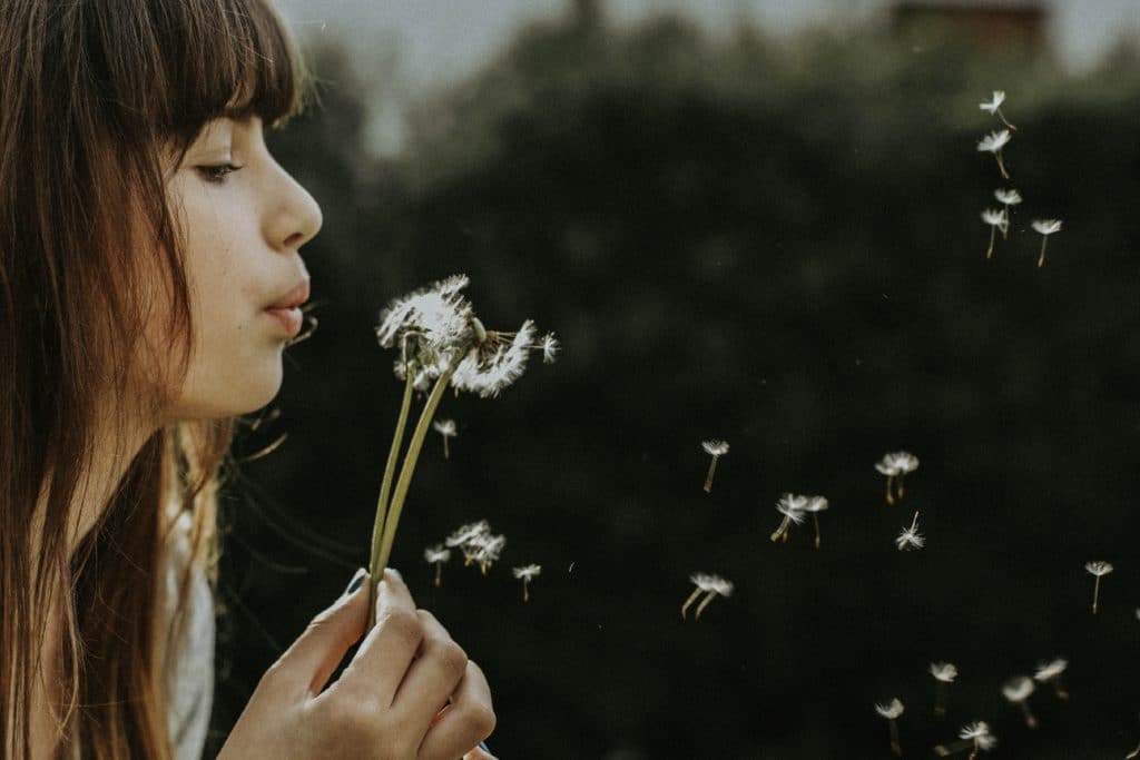 nine kopfer zosE9lAYQlo unsplash 1024x683