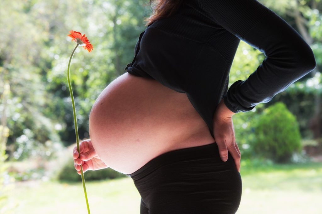 pregnant woman 1130612 1280 1024x682